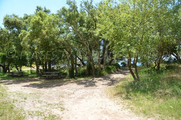 Table de pique-nique sur la plage du Pellegrin de Bormes les Mimosas