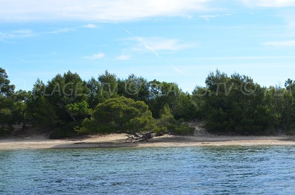 Plage du Pellegrin à Bormes - Partie de gauche