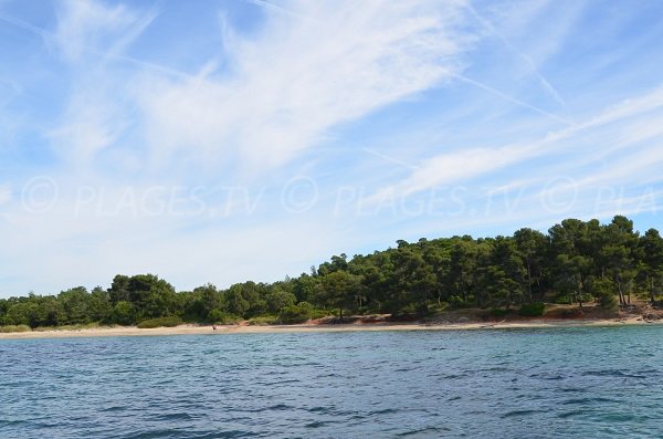 Partie centrale de la plage du Pellegrin à Bormes les Mimosas