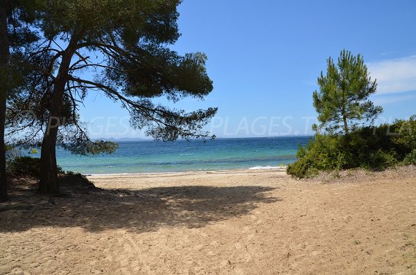 Pellegrin beach in Bormes les Mimosas in France