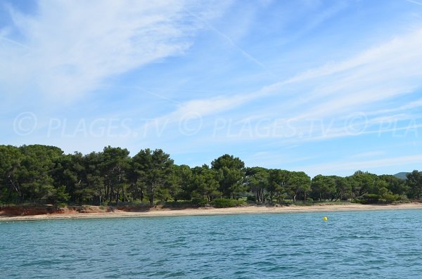 Spiaggia del Pellegrin a La Londe - vista dal mare