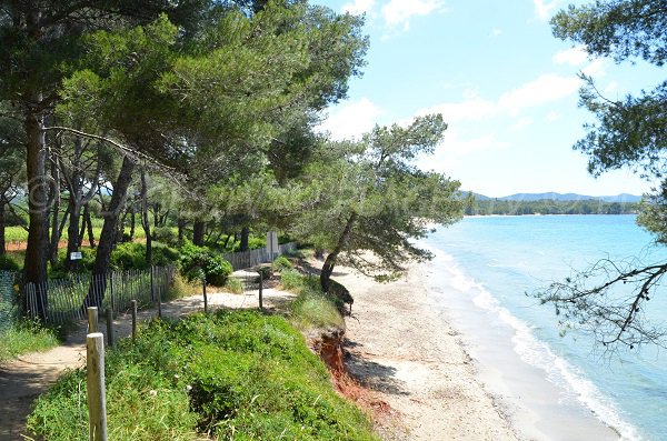 Plage sauvage avec de l'ombre à La Londe les Maures