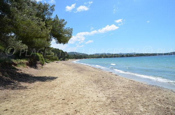 Beach with shade in La Londe les Maures