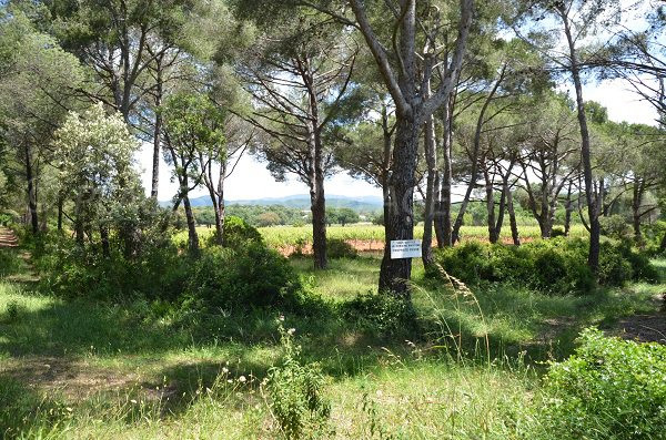 Domaine viticole de la plage du Pellegrin à Bormes