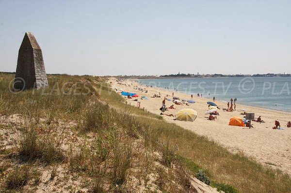 Algues vertes sur la plage de La Baule - Infos Nantes