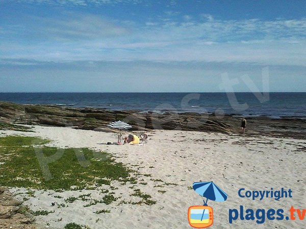 Plage avec des rochers et de la pelouse sur l'ile de Groix - Pen Ganol