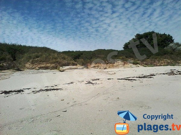 Environment of the beach of Pen Ganol - Groix