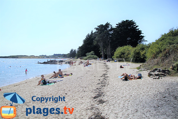 Plage de sable fin sur l'ile d'Arz