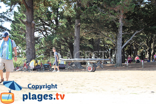 Grove around Penara beach - Island of Arz