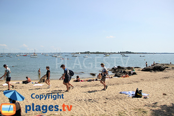 Ilur Island in the Gulf of Morbihan - Island of Arz