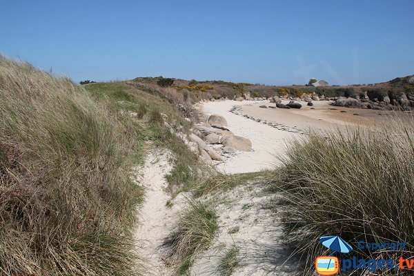 Sentier de la plage de Penn ar Waremm sur l'ile de Callot