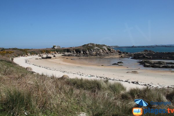 Photo de la plage de Penn ar Waremm sur l'ile de Callot