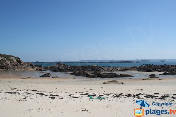 Swimming on the Callot island