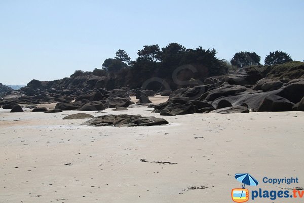 Environnement de la plage nord de l'ile Callot