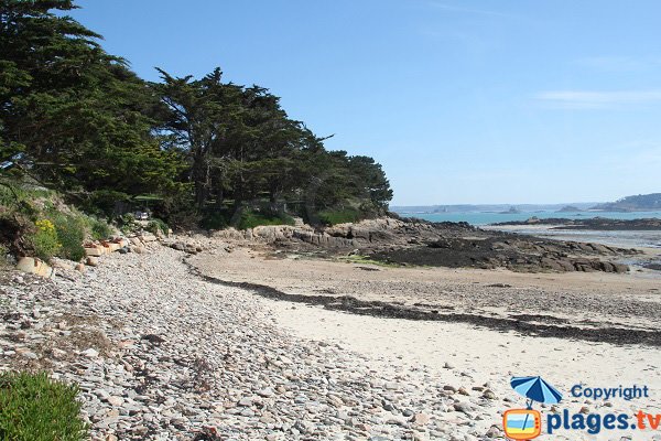 Beach with trees on the island of Callot