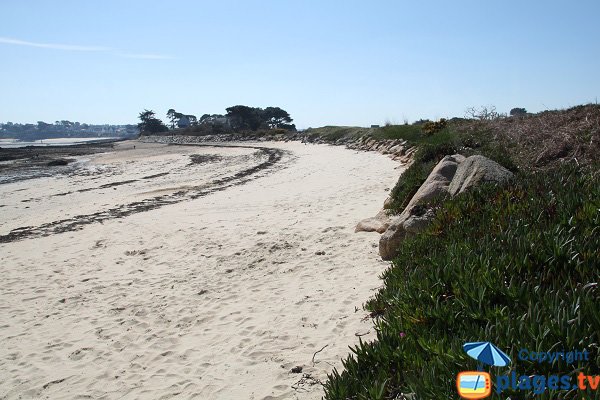 Plage de Pennenez sur l'ile Callot - Carantec