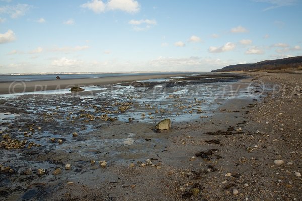 Plage de Pennedepie avec vue sur la baie de la Seine