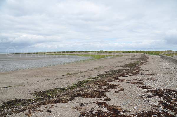 Plage au niveau de la pointe de Penvins