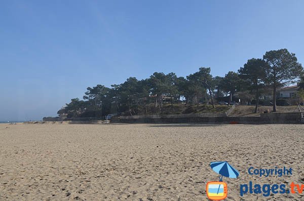 Pinède de la plage Pereire - Arcachon