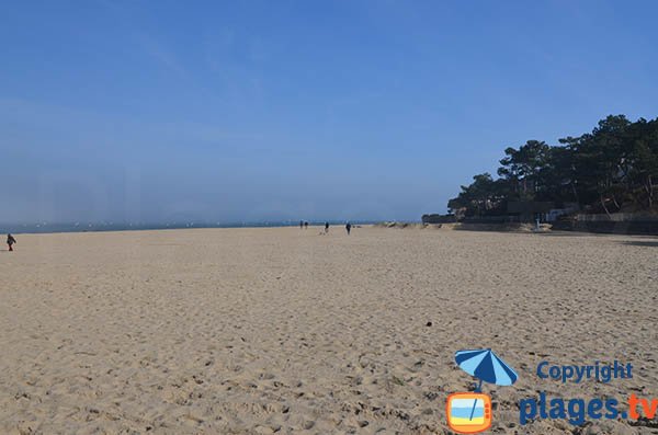 Beach of Pereire with its pine forest - Arcachon