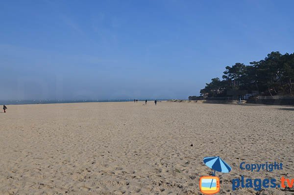 Spiaggia Pereire con la sua pineta - Arcachon