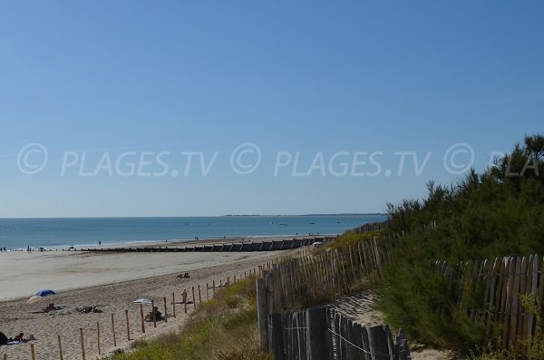 Plage Pergola sur l'Ile de Ré à Couarde sur Mer