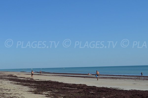 Plage de sable à proximité de Couarde sur l'île de Ré