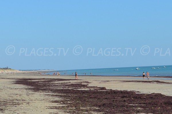 Plage de la Pergola à Couarde sur Mer sur l'île de Ré