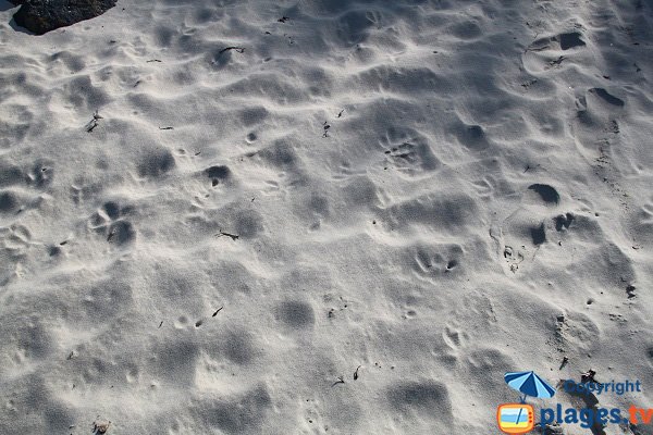 Sable de la plage de Perharidi