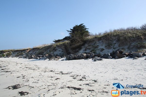 Dunes sur la plage de Perharidi à Roscoff