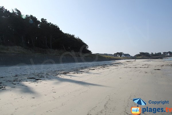 Shade of Perharidi beach