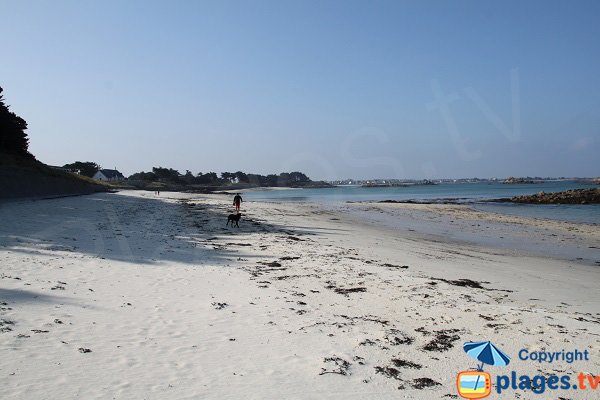 Walks on the Perharidi beach - Roscoff