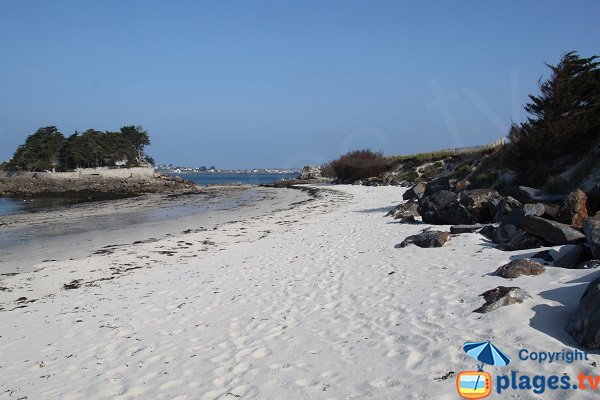 Photo de la plage de Perharidi face à l'ilot des Jacobins - Roscoff