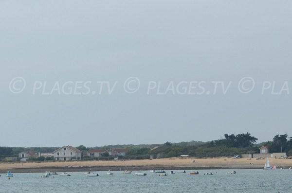 Perroche beach in Oléron in France