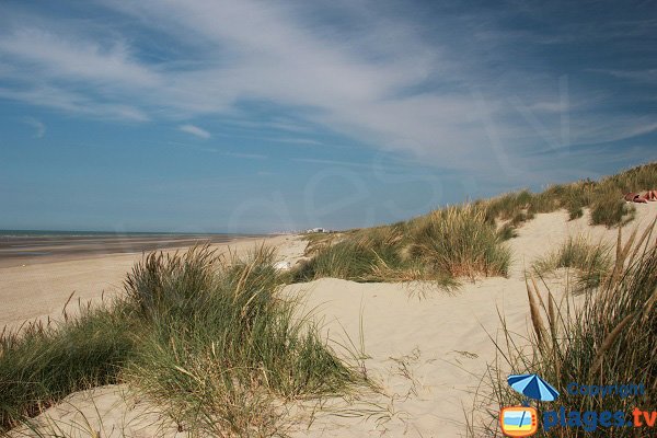 Spiaggia del Perroquet a Bray Dunes in Francia