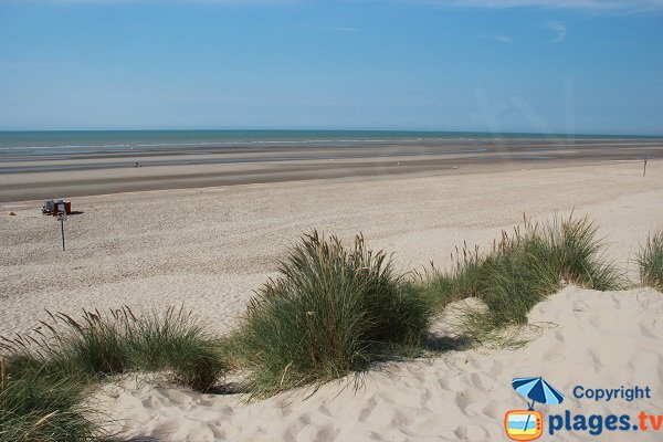 Spiaggia selvaggia a Bray Dunes