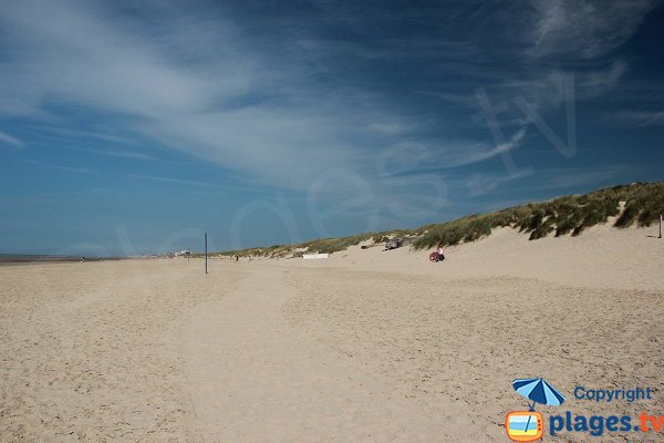 Plage avec des dunes à Bray Dunes