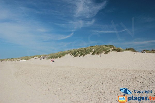 Dunes del Perroquet in Francia