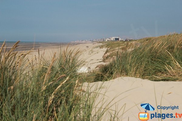 photo of the Perroquet beach in Bray Dunes in France