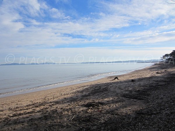 Pesquiers beach with Porquerolles island - Hyeres