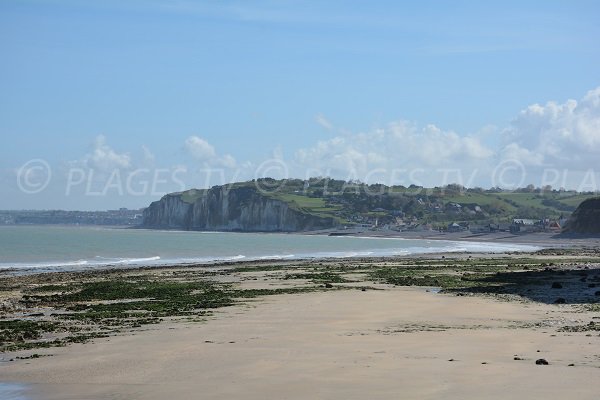 Plage de sable à proximité de Pourville