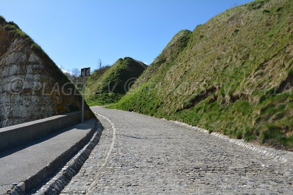 Sentier d'accès à la plage du Petit Ailly - Varengeville sur Mer