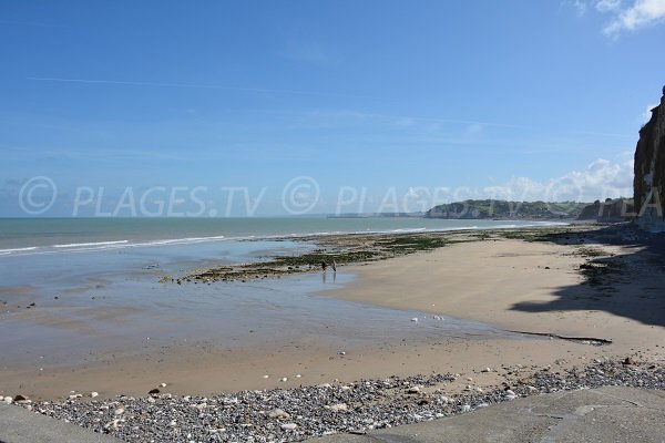 Photo of Petit Ailly beach near Dieppe - France