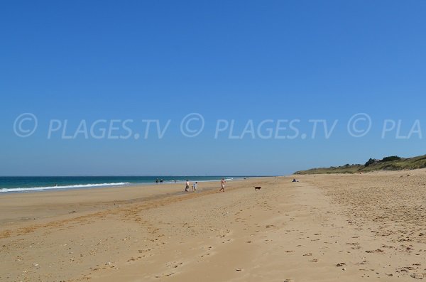 Beach of Petit Bec towards the tip of Lizay - Les Portes en Ré