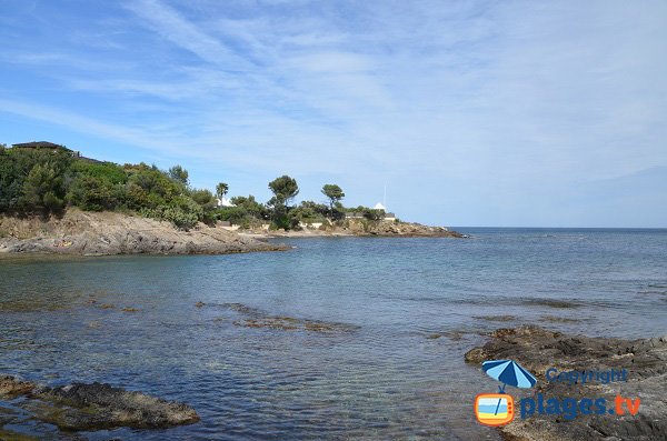 Environnement de la plage du Petit Boucharel