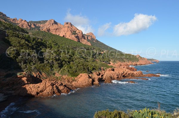 Environnement de la calanque du Petit Caneiret à Agay