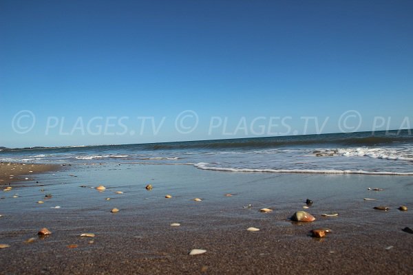 Plage dans la quartier de La Cosse à Vias