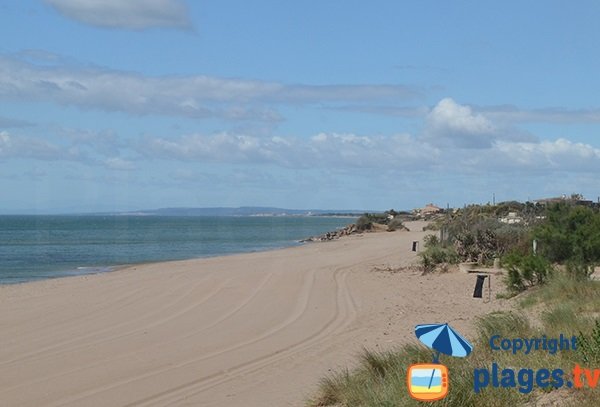 Foto della spiaggia del Petit Mousse a Vias - Francia