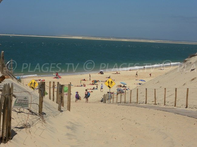 Banc of Arguin and Petit Nice beach - Pyla sur Mer - France