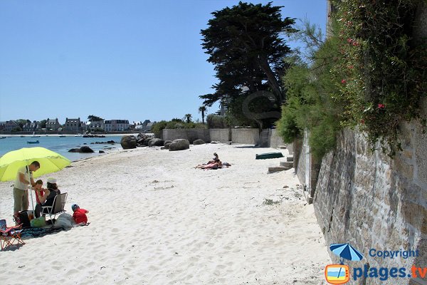 Petit Nice beach in Brignogan in Brittany - France